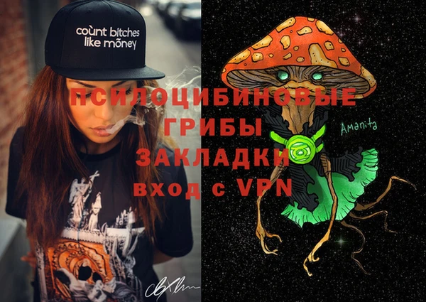 стафф Каменка