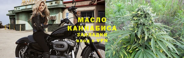 стафф Каменка