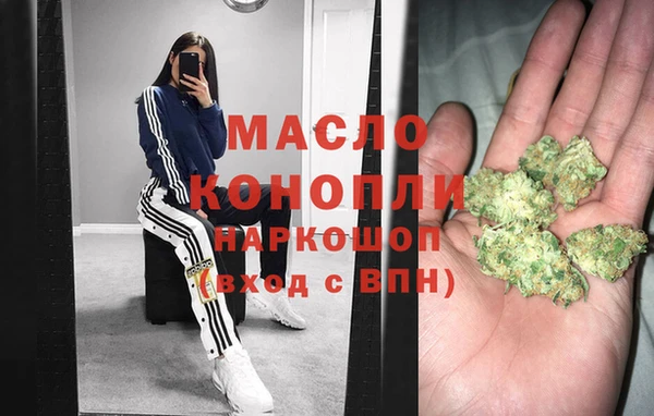 стафф Каменка