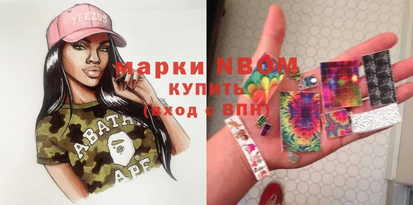 стафф Каменка