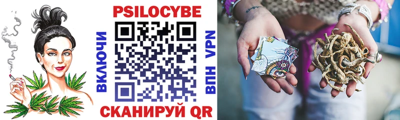 Купить закладки  Верхняя Пышма  Галлюциногенные грибы мицелий 